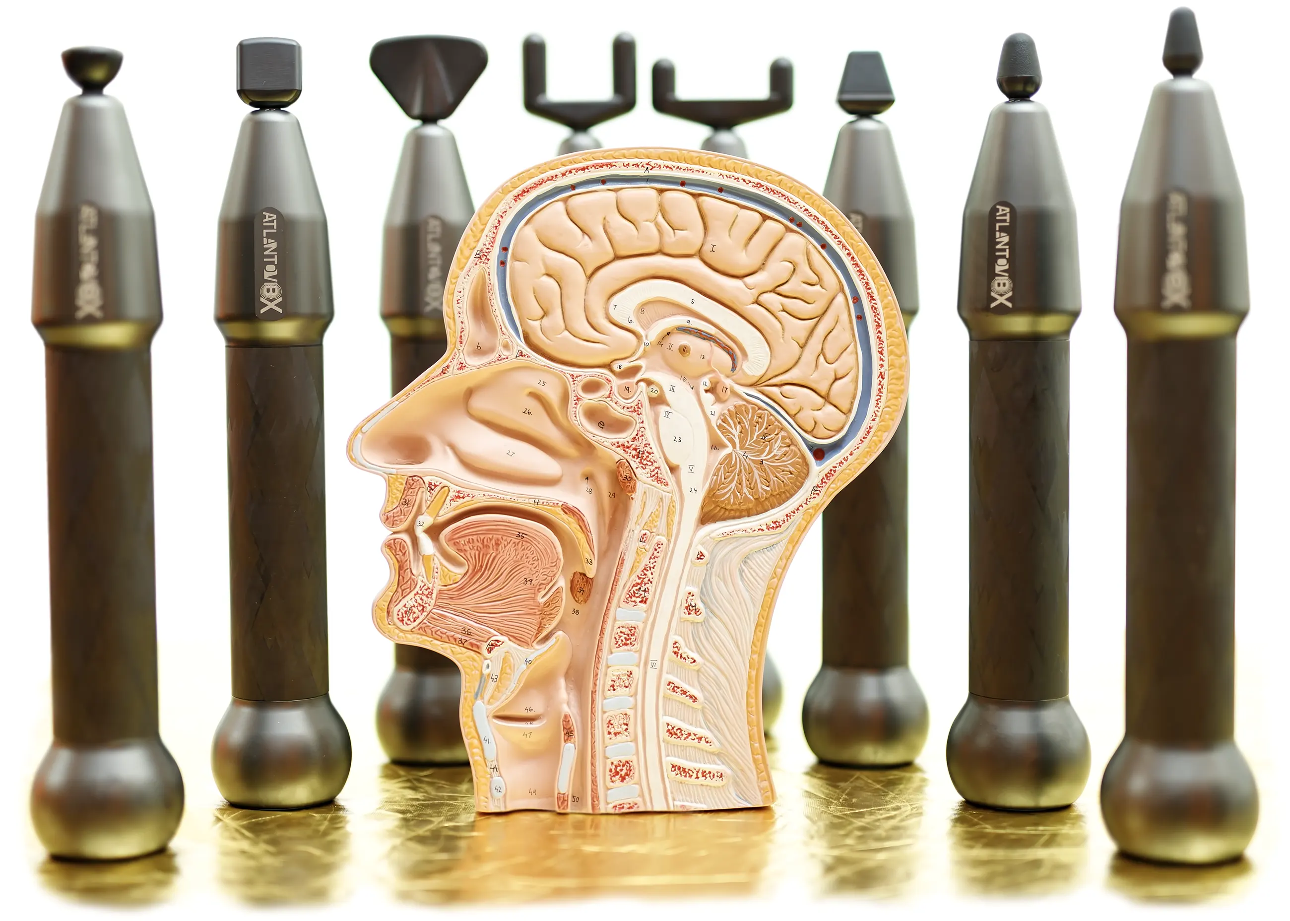 AtlantoVib Gerät für Atlastherapie und Atlaskorrektur